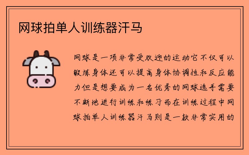 网球拍单人训练器汗马