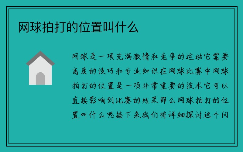 网球拍打的位置叫什么