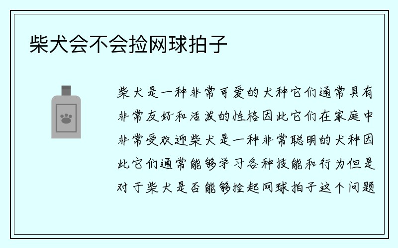 柴犬会不会捡网球拍子