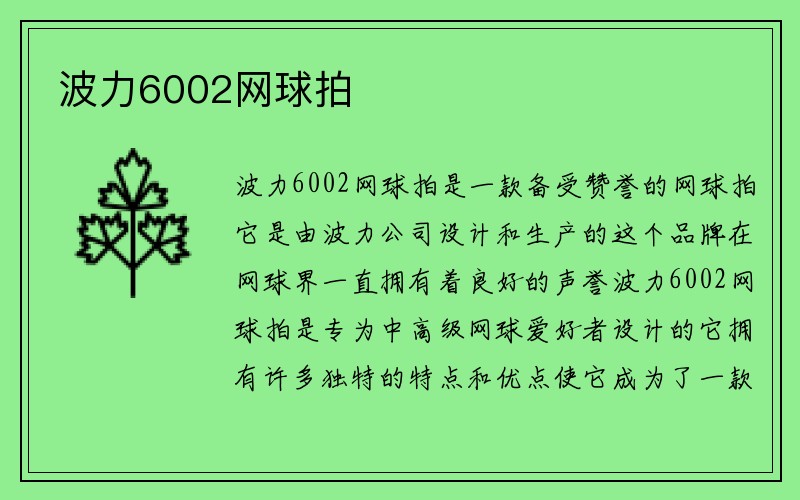 波力6002网球拍