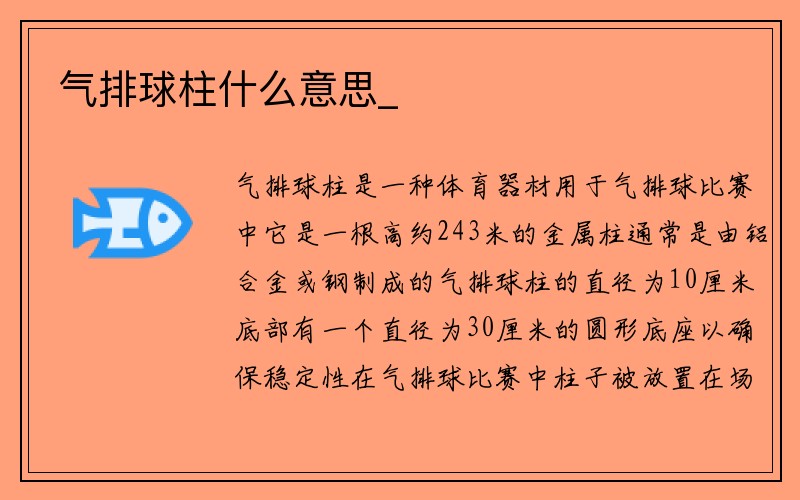 气排球柱什么意思_