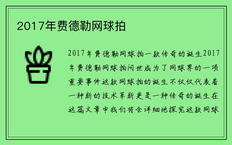 2017年费德勒网球拍