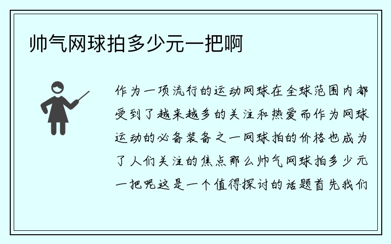 帅气网球拍多少元一把啊