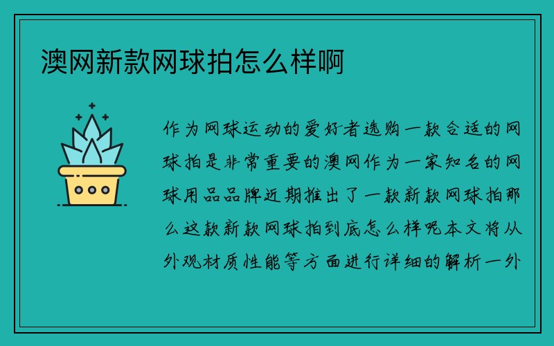 澳网新款网球拍怎么样啊